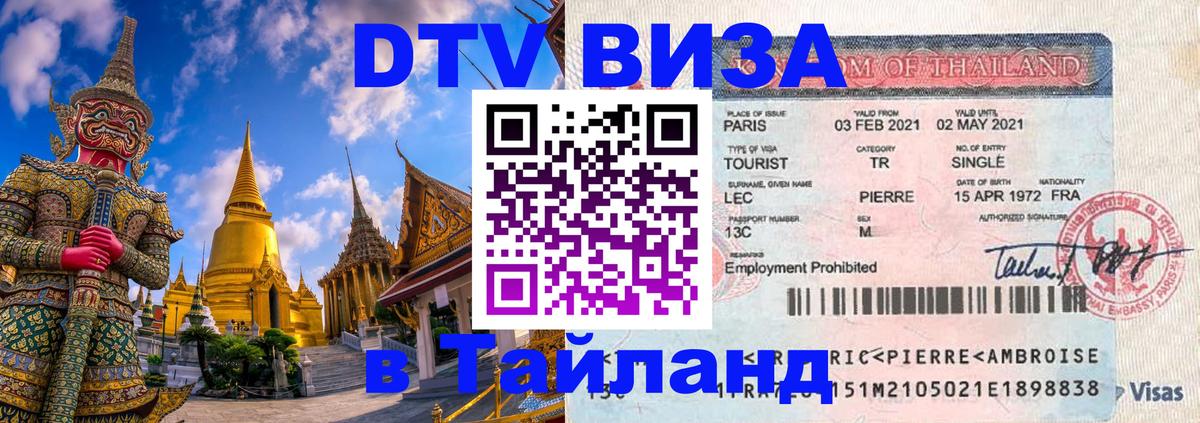 Оформление DTV визы под ключ: стоимость и тарифы, только загранпаспорт - Элиста  19.11.2025 